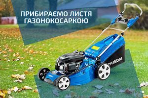 Убираем листья газонокосилкой фото
